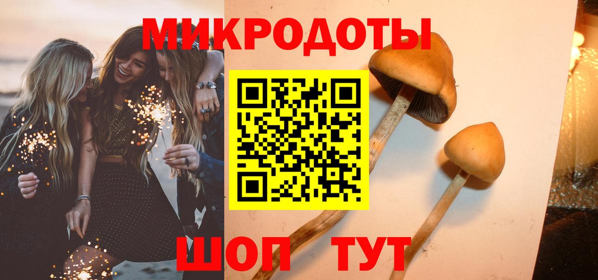 Морозовск  Галлюциногенные грибы Psilocybine cubensis  купить наркотик  Вход с VPN 